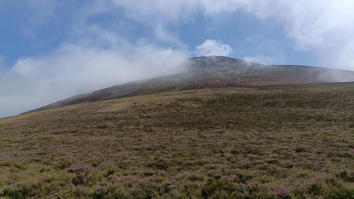 Path up from Nant Carpark dog friendly walkers family holiday cottage to rent Llyn Peninsula 08 Path up from Nant Carpark dog friendly walkers family holiday cottage to rent Llyn Peninsula 08